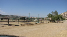 Enlarge photo 45