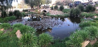 Enlarge photo 22