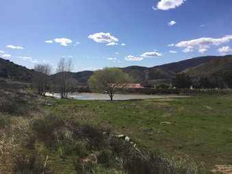 Enlarge photo 10