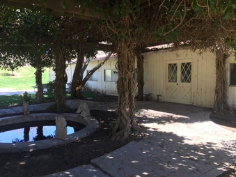Enlarge photo 34