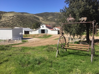 Enlarge photo 35