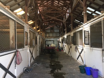 Enlarge photo 38