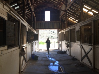 Enlarge photo 39