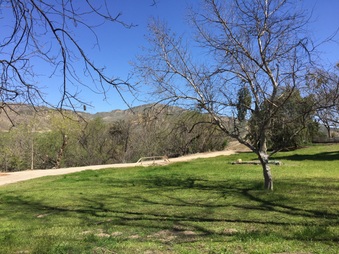 Enlarge photo 13