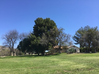 Enlarge photo 19