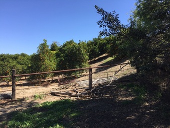 Enlarge photo 36