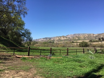 Enlarge photo 42