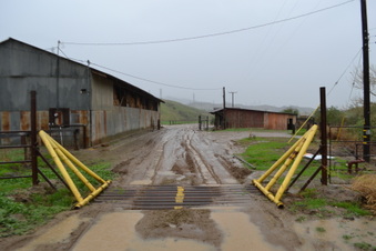 Enlarge photo 8