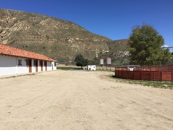 Enlarge photo 28