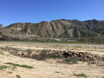 Enlarge photo 31