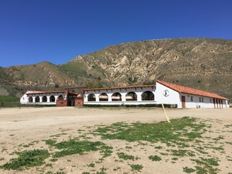 Enlarge photo 30