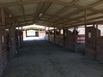 Enlarge photo 43