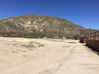 Enlarge photo 46