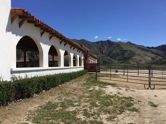 Enlarge photo 47