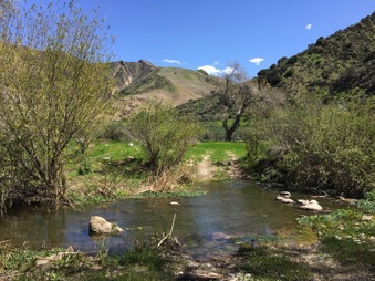 Enlarge photo 56