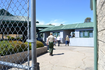 Border Checkpoint