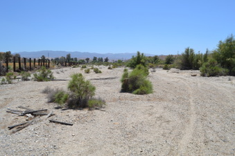 Enlarge photo 12