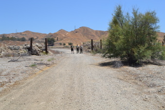 Enlarge photo 16