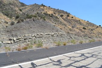 Enlarge photo 30