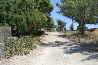 Enlarge photo 21