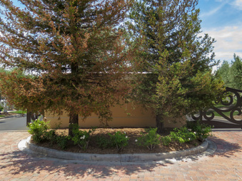 Enlarge photo 21