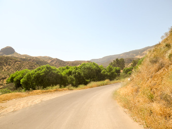 Enlarge photo 14