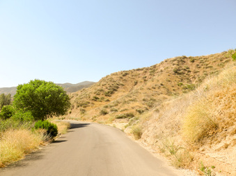 Enlarge photo 18