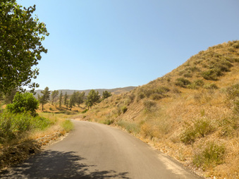 Enlarge photo 19