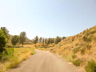 Enlarge photo 20