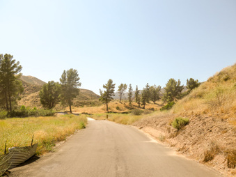 Enlarge photo 21