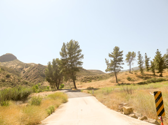 Enlarge photo 23