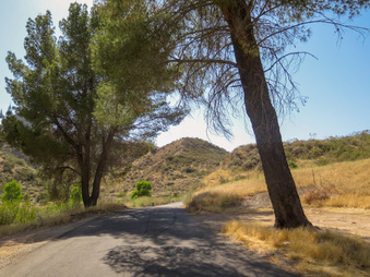 Enlarge photo 24