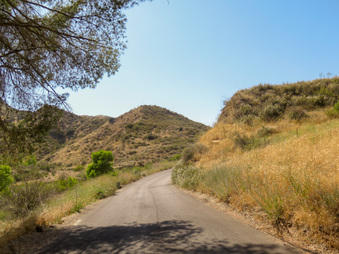 Enlarge photo 25