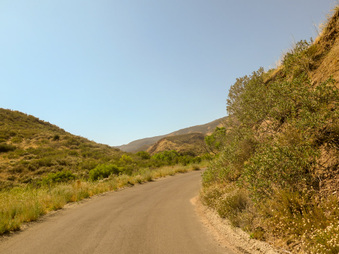 Enlarge photo 26