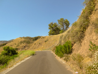 Enlarge photo 27
