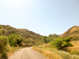 Enlarge photo 33