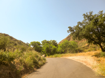 Enlarge photo 34