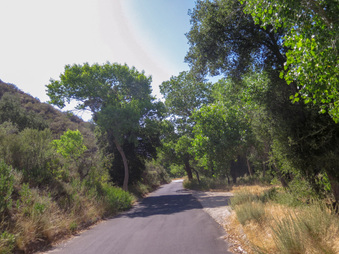 Enlarge photo 35