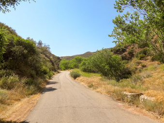 Enlarge photo 37
