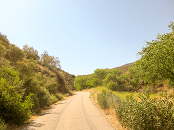 Enlarge photo 38