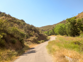 Enlarge photo 39