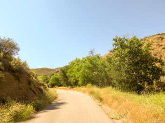 Enlarge photo 40