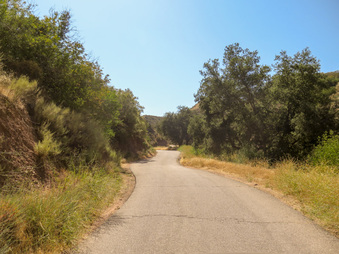 Enlarge photo 41