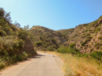 Enlarge photo 43