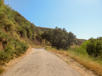 Enlarge photo 45