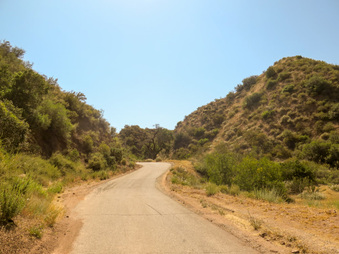 Enlarge photo 48