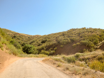 Enlarge photo 52