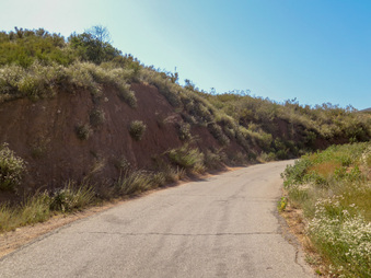 Enlarge photo 53