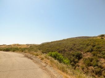 Enlarge photo 55
