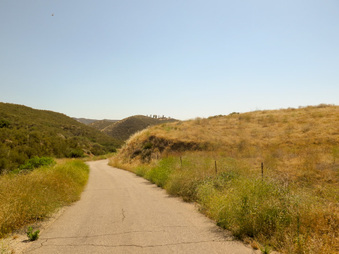 Enlarge photo 61